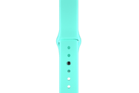 Sport-Band-Type-I-Spearmint
