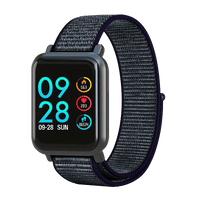 Midnight Fog Sport Loop for 2019 Smartwatch